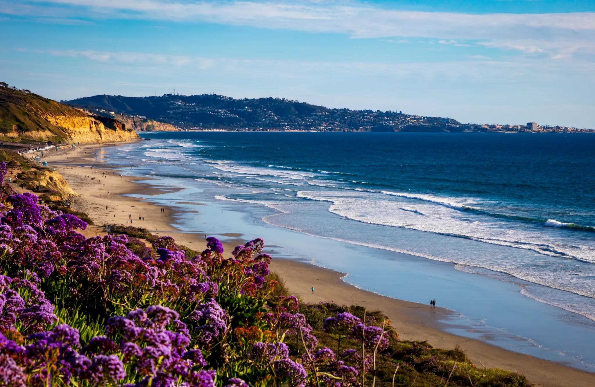Purple flowers in the foreground overlook a sandy beach with waves and distant hills under a blue sky.