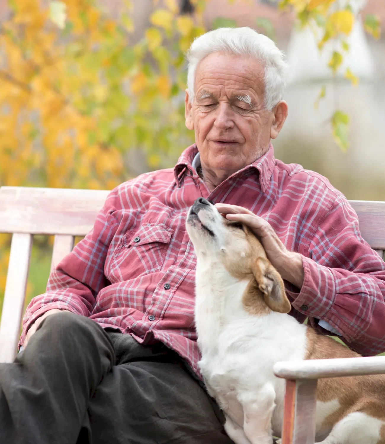 Elderly man sitting on a bench outside, petting a happy dog on his lap, with autumn leaves in the background.