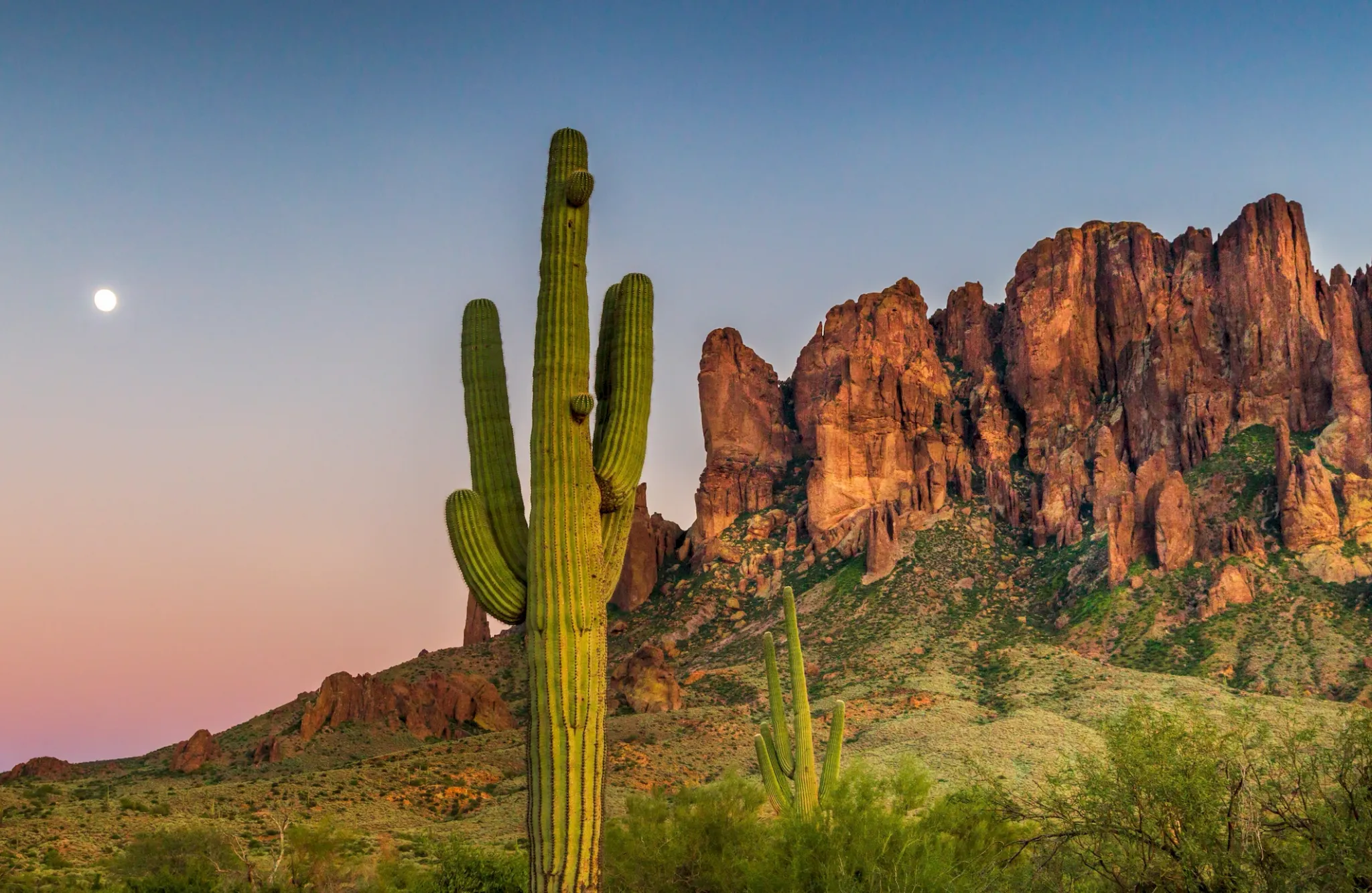 A tall cactus stands before rugged red mountains at sunset with a full moon in the clear sky.