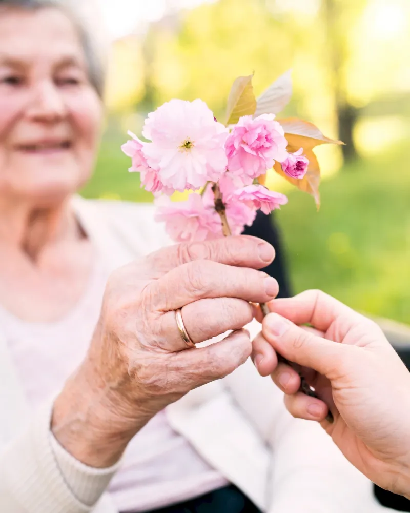 Elderly woman smiling while receiving a small bouquet of pink flowers from another person outdoors.
