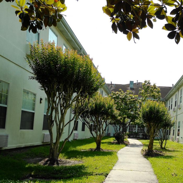 A curved sidewalk at Tarina of Kingwood winds between apartment buildings, lined with trimmed trees and green grass on a sunny day.