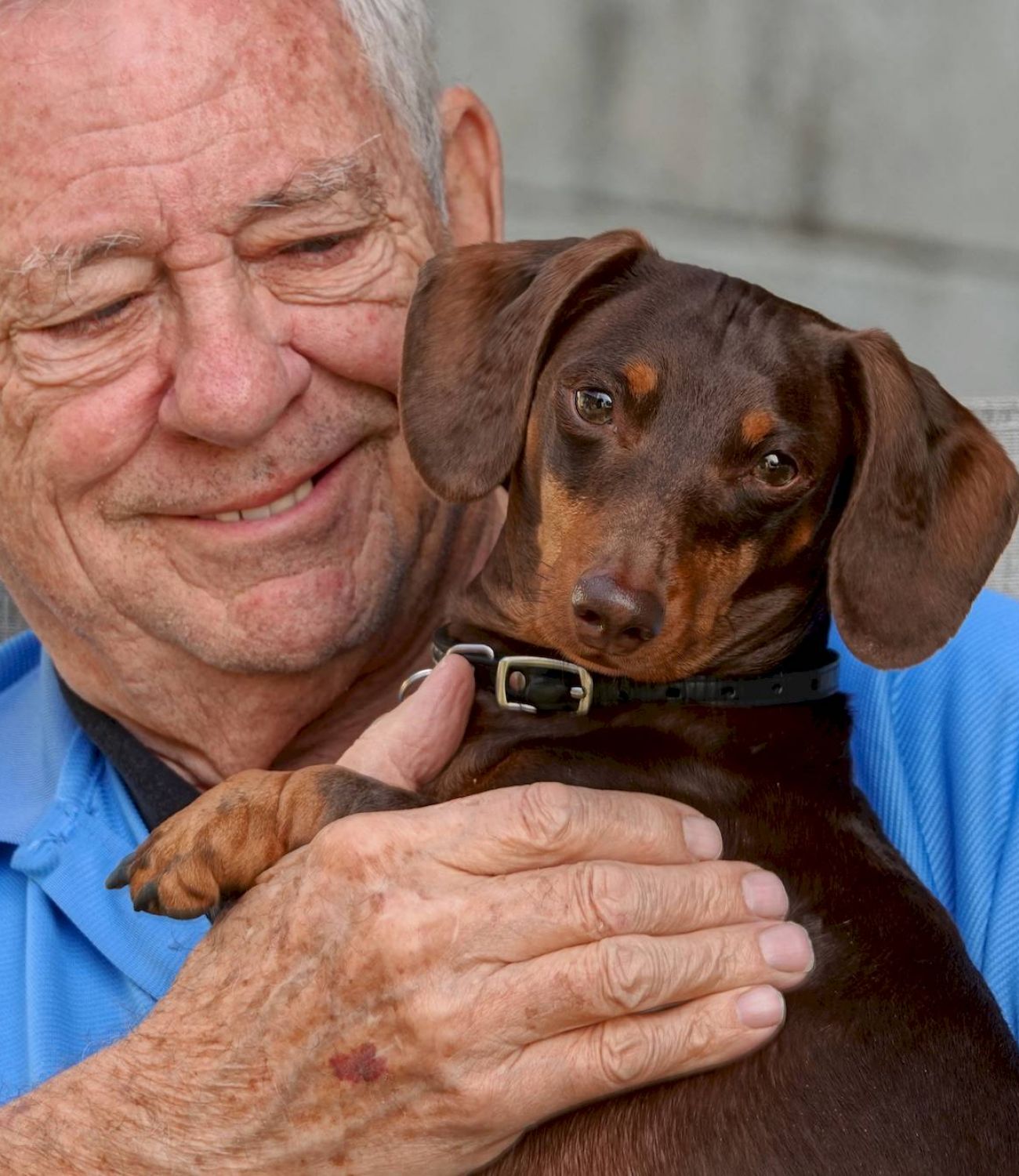 Smiling elderly man in a blue shirt holds a small brown dachshund on his lap outdoors at Tarina of Kingwood.