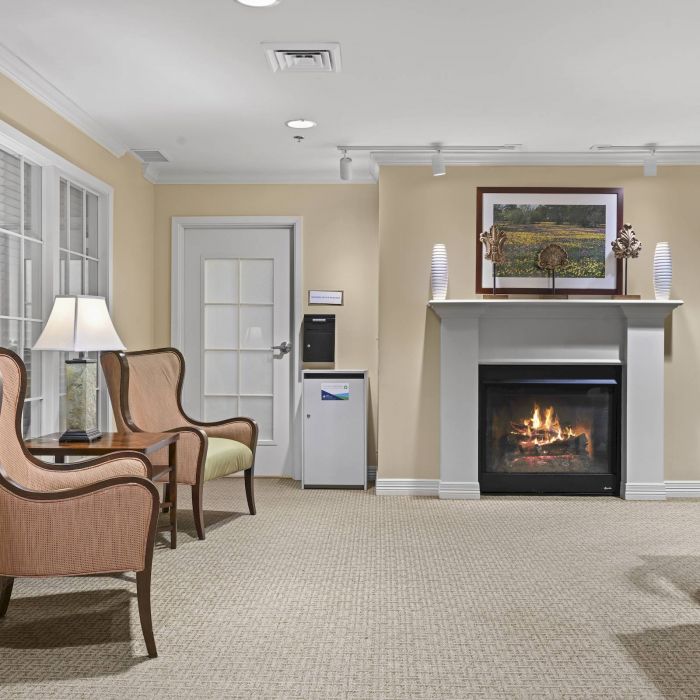 Cozy lounge in Tarina of Cypresswood with two armchairs, a fireplace, artwork, lamps, and beige walls in a well-lit room.