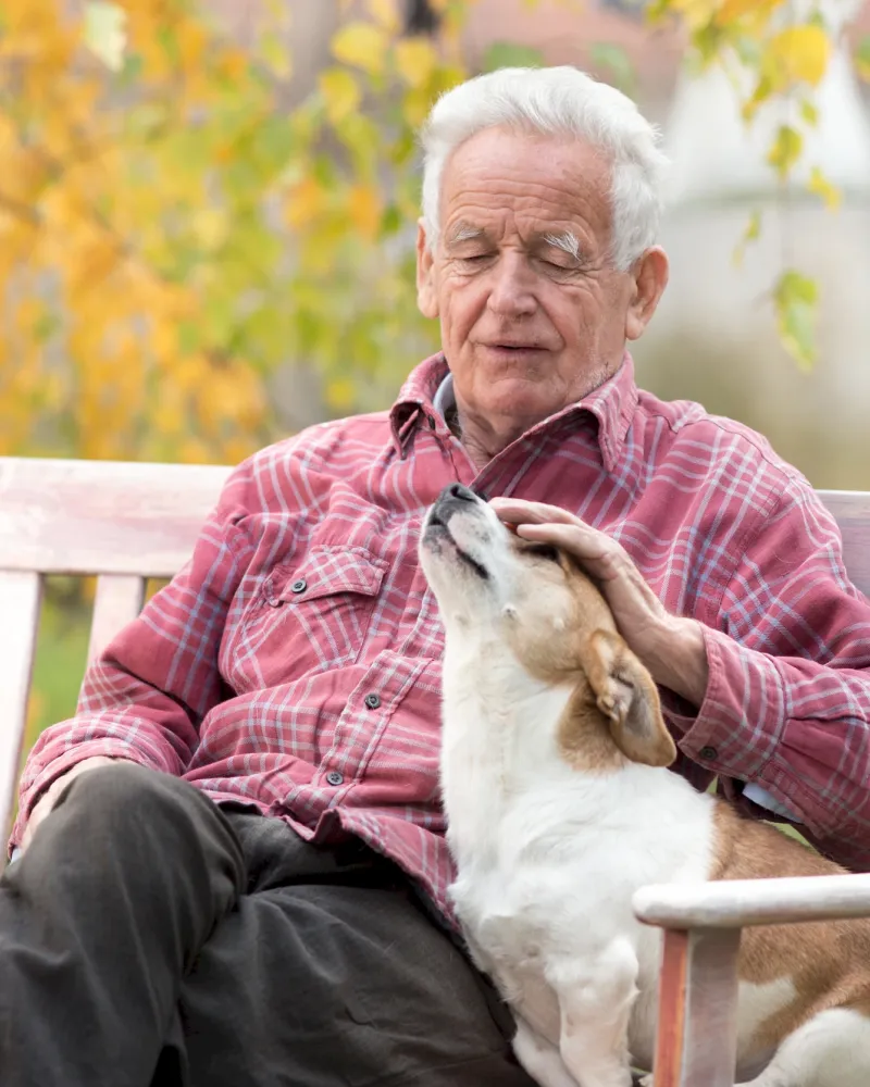 Elderly man sitting on a bench outside, petting a happy dog on his lap, with autumn leaves in the background.