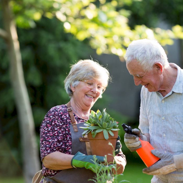 Two smiling older adults gardening together outdoors, holding a potted succulent and gardening tools.