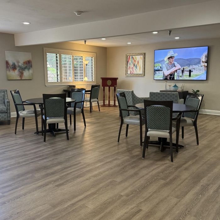 A bright room with tables, chairs, wall art, and a TV displaying Tarina of Stockton talking with another person.